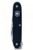 Victorinox Alliance