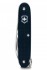 Victorinox Alliance
